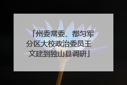 州委常委、都匀军分区大校政治委员王文建到独山县调研