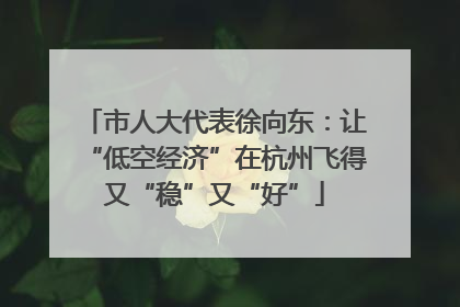 市人大代表徐向东：让“低空经济”在杭州飞得又“稳”又“好”