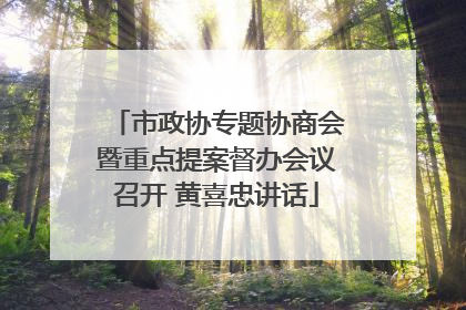 市政协专题协商会暨重点提案督办会议召开 黄喜忠讲话