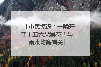 市民惊讶：一晚开了十五六朵昙花！与雨水均衡有关