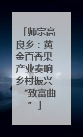 师宗高良乡：黄金百香果产业奏响乡村振兴“致富曲”