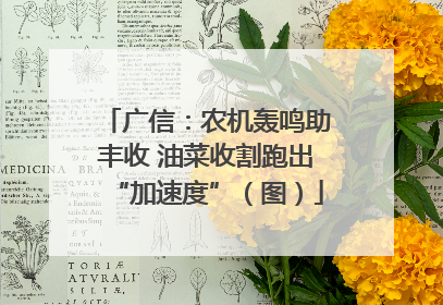 广信：农机轰鸣助丰收 油菜收割跑出“加速度”（图）