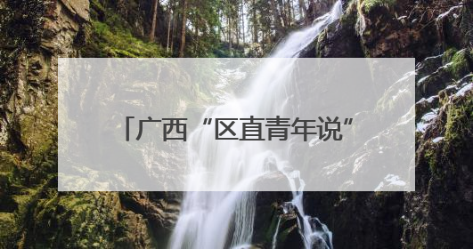 广西“区直青年说”主题宣讲暨五四示范性主题团日活动举行