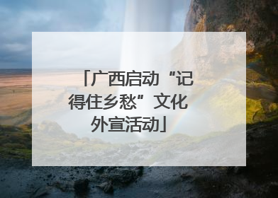 广西启动“记得住乡愁”文化外宣活动