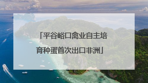 平谷峪口禽业自主培育种蛋首次出口非洲