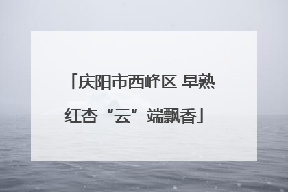 庆阳市西峰区 早熟红杏“云”端飘香