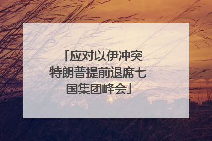 应对以伊冲突 特朗普提前退席七国集团峰会