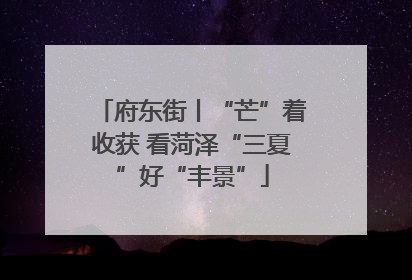 府东街丨“芒”着收获 看菏泽“三夏”好“丰景”