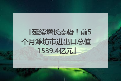 延续增长态势！前5个月潍坊市进出口总值1539.4亿元