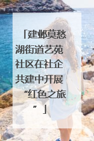 建邺莫愁湖街道艺苑社区在社企共建中开展“红色之旅”
