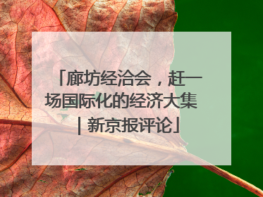廊坊经洽会，赶一场国际化的经济大集｜新京报评论