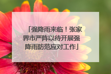 强降雨来临！张家界市严阵以待开展强降雨防范应对工作