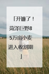 开镰了！菏泽巨野85万亩小麦进入收割期
