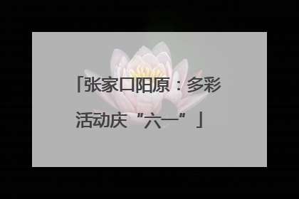 张家口阳原：多彩活动庆“六一”