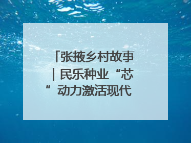 张掖乡村故事｜民乐种业“芯”动力激活现代农业新活力