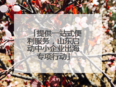 提供一站式便利服务，山东启动中小企业出海专项行动