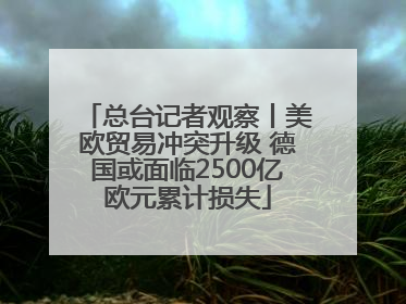 总台记者观察丨美欧贸易冲突升级 德国或面临2500亿欧元累计损失