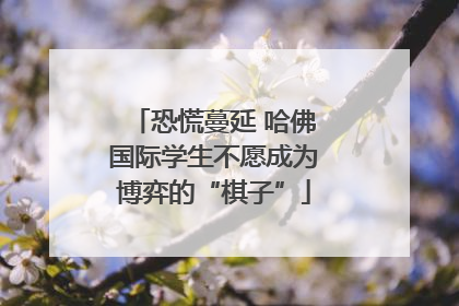 恐慌蔓延 哈佛国际学生不愿成为博弈的“棋子”