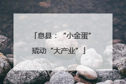 息县：“小金蛋”撬动“大产业”