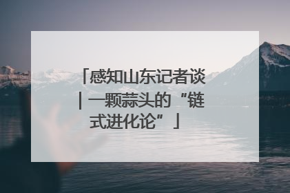 感知山东记者谈｜一颗蒜头的“链式进化论”
