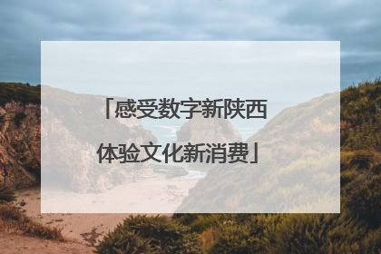 感受数字新陕西 体验文化新消费