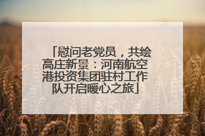 慰问老党员，共绘高庄新景：河南航空港投资集团驻村工作队开启暖心之旅