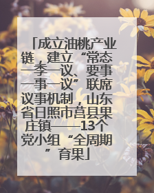 成立油桃产业链，建立“常态一季一议、要事一事一议”联席议事机制，山东省日照市莒县果庄镇——13个党小组“全周期”育果