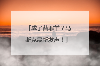 成了替罪羊？马斯克最新发声！