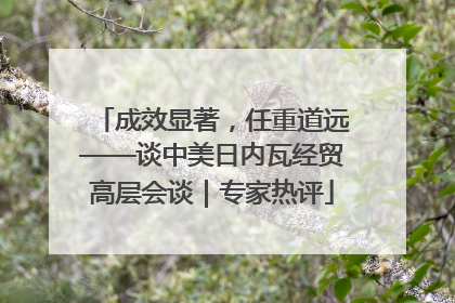 成效显著，任重道远——谈中美日内瓦经贸高层会谈｜专家热评