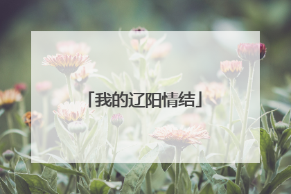 我的辽阳情结