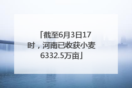 截至6月3日17时，河南已收获小麦6332.5万亩