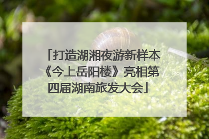 打造湖湘夜游新样本《今上岳阳楼》亮相第四届湖南旅发大会