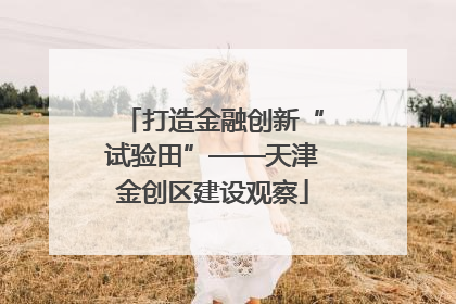 打造金融创新“试验田”——天津金创区建设观察