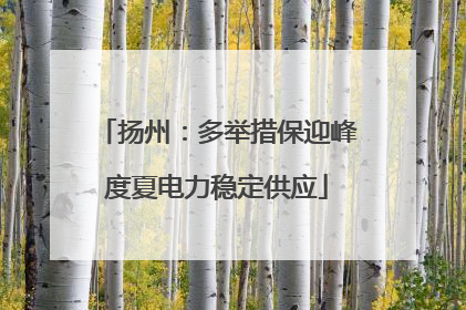 扬州：多举措保迎峰度夏电力稳定供应