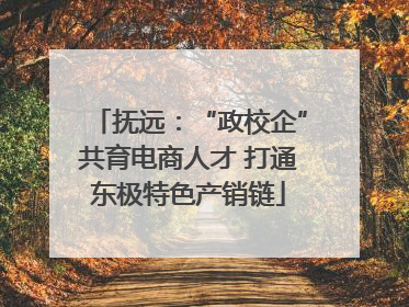 抚远：“政校企”共育电商人才 打通东极特色产销链