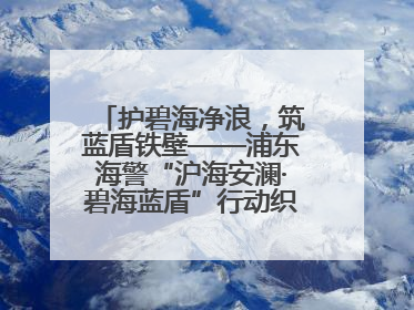 护碧海净浪，筑蓝盾铁壁——浦东海警“沪海安澜·碧海蓝盾”行动织密立体防控网