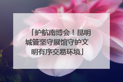 护航南博会！昆明城管坚守展馆守护文明有序交易环境