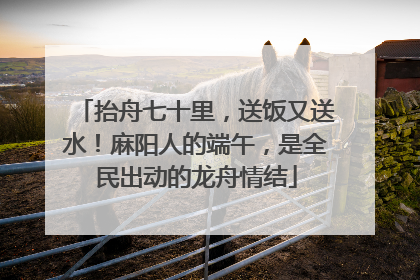 抬舟七十里，送饭又送水！麻阳人的端午，是全民出动的龙舟情结