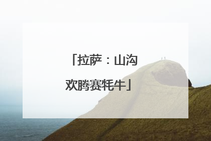 拉萨：山沟欢腾赛牦牛