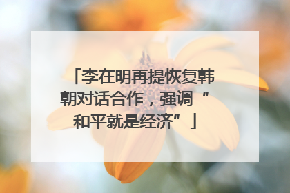 李在明再提恢复韩朝对话合作，强调“和平就是经济”