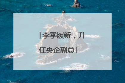 李季履新，升任央企副总