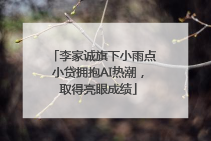 李家诚旗下小雨点小贷拥抱AI热潮，取得亮眼成绩