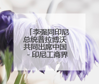李强同印尼总统普拉博沃共同出席中国－印尼工商界晚宴并致辞