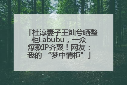 杜淳妻子王灿兮晒整柜Labubu，一众爆款IP齐聚！网友：我的 “梦中情柜”