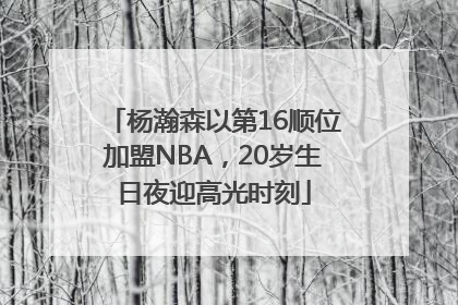 杨瀚森以第16顺位加盟NBA，20岁生日夜迎高光时刻