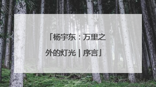 杨宇东：万里之外的灯光｜序言