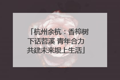 杭州余杭：香樟树下话苕溪 青年合力共建未来坝上生活