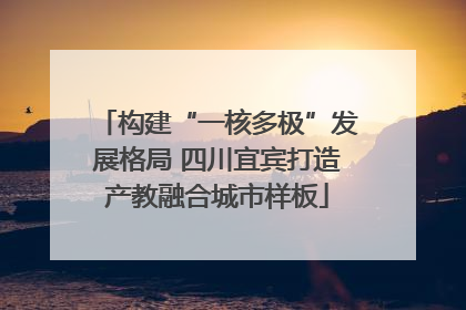 构建“一核多极”发展格局 四川宜宾打造产教融合城市样板