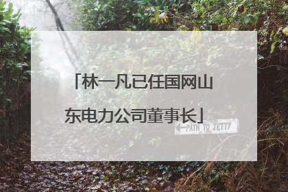 林一凡已任国网山东电力公司董事长