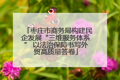 枣庄市商务局构建民企发展“三维服务体系” 以法治保障书写外贸高质量答卷